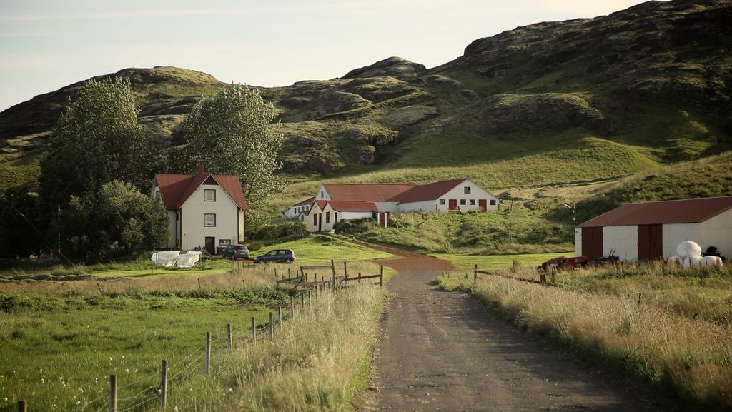 Sel Guesthouse Skálholt Buitenkant foto