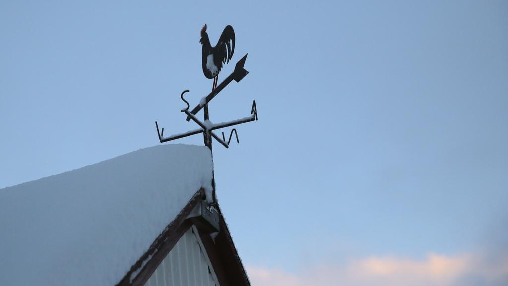 Sel Guesthouse Skálholt Buitenkant foto